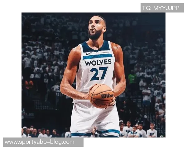 森林狼缺少戈贝尔篮下防守漏洞显著兰德尔护筐能力待提升